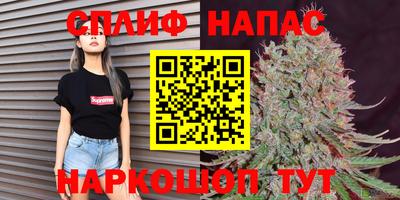 гашик Берёзовский