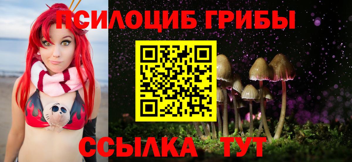 Галлюциногенные грибы прущие грибы Изобильный